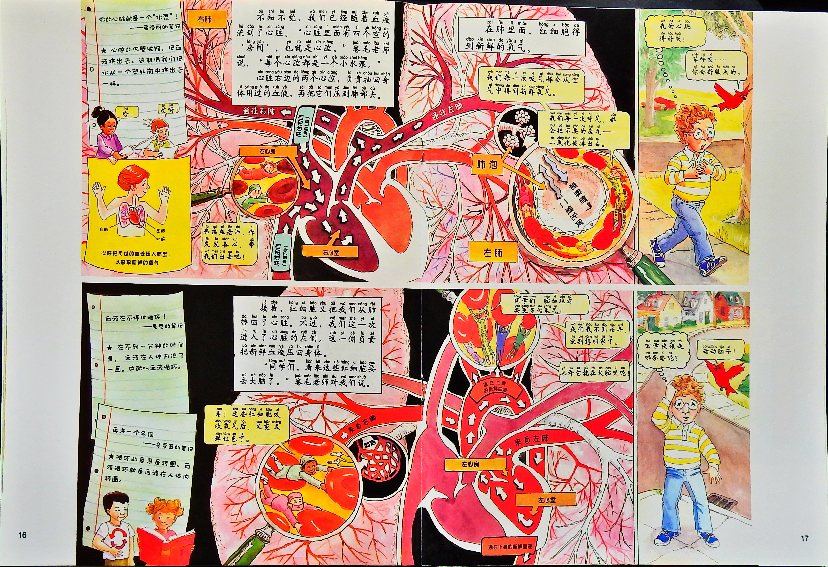在人体中游览 (10),绘本,绘本故事,绘本阅读,故事书,童书,图画书,课外阅读